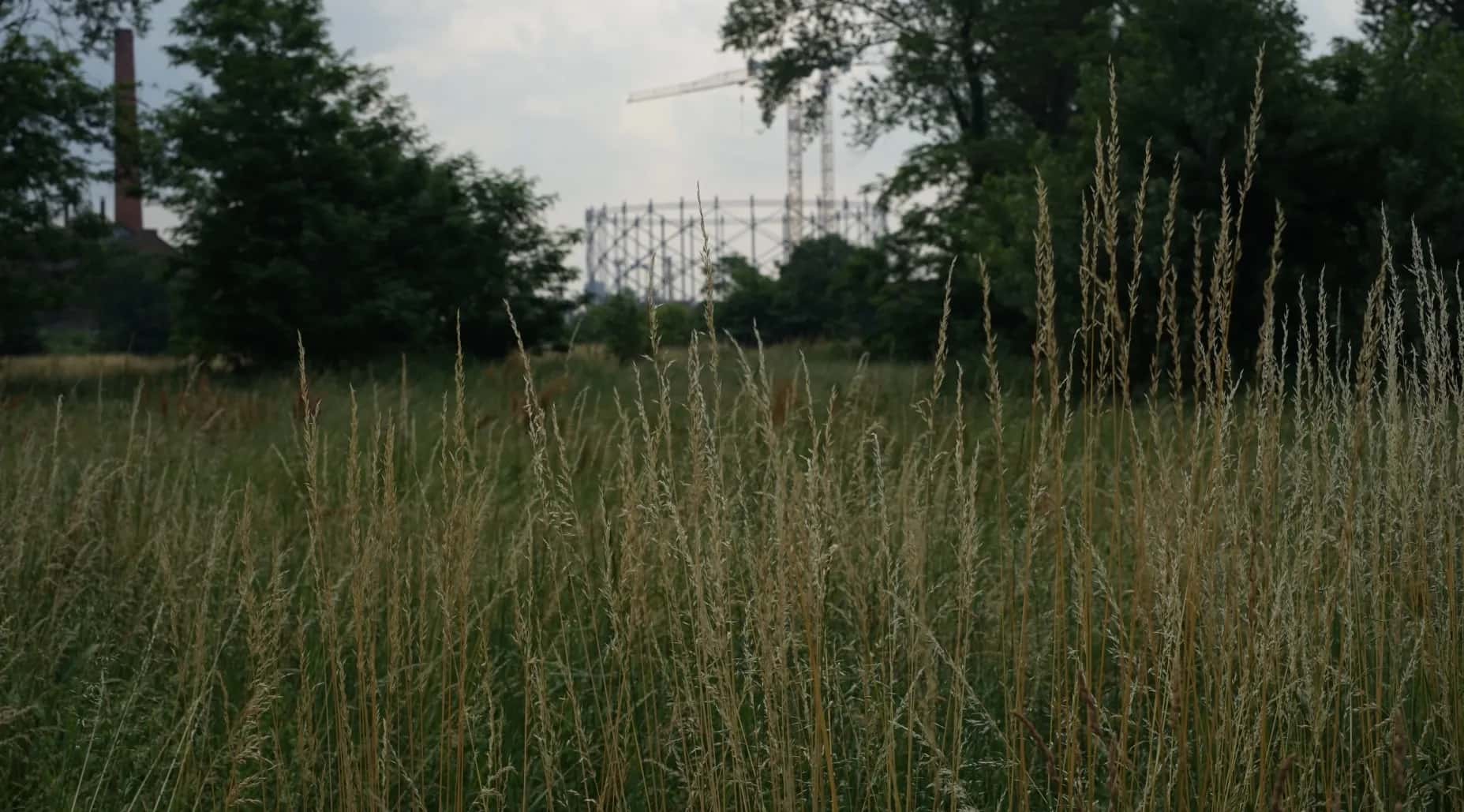 Goccia, Foto di @Camilla Morino