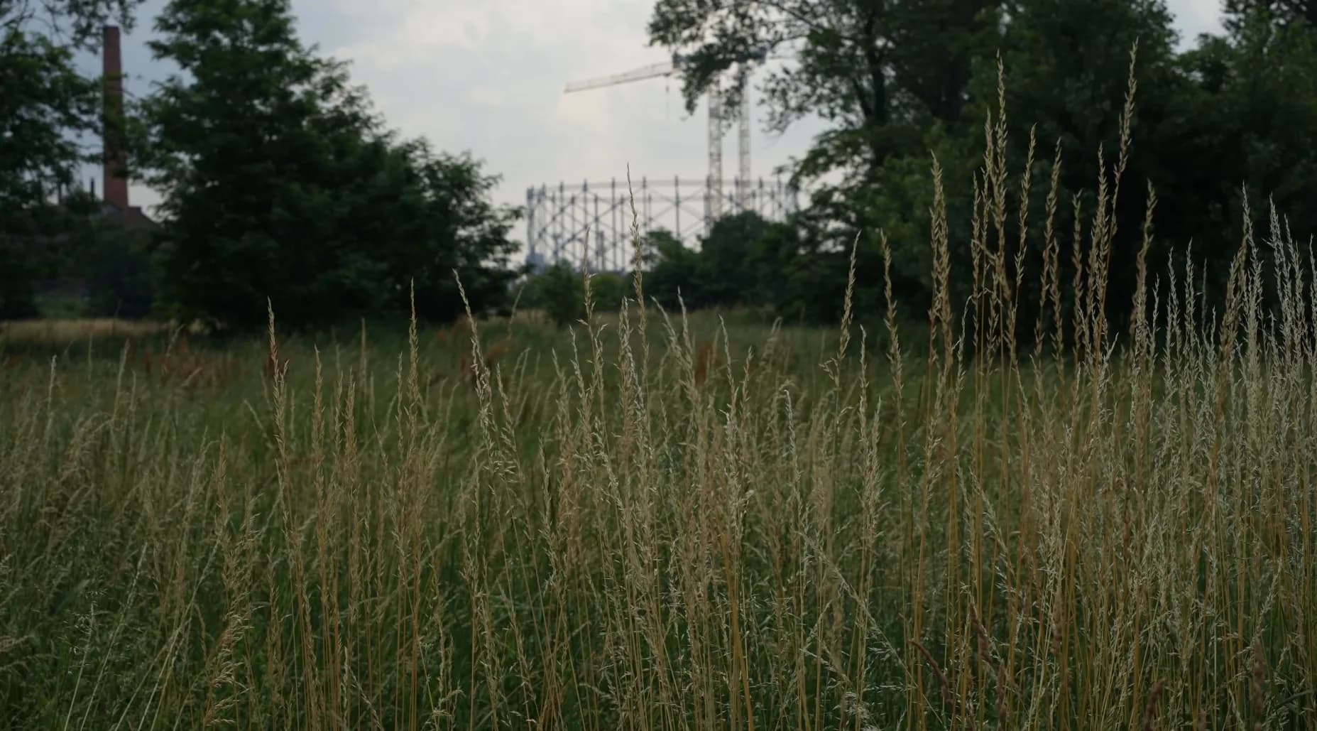 Goccia, Foto di @Camilla Morino