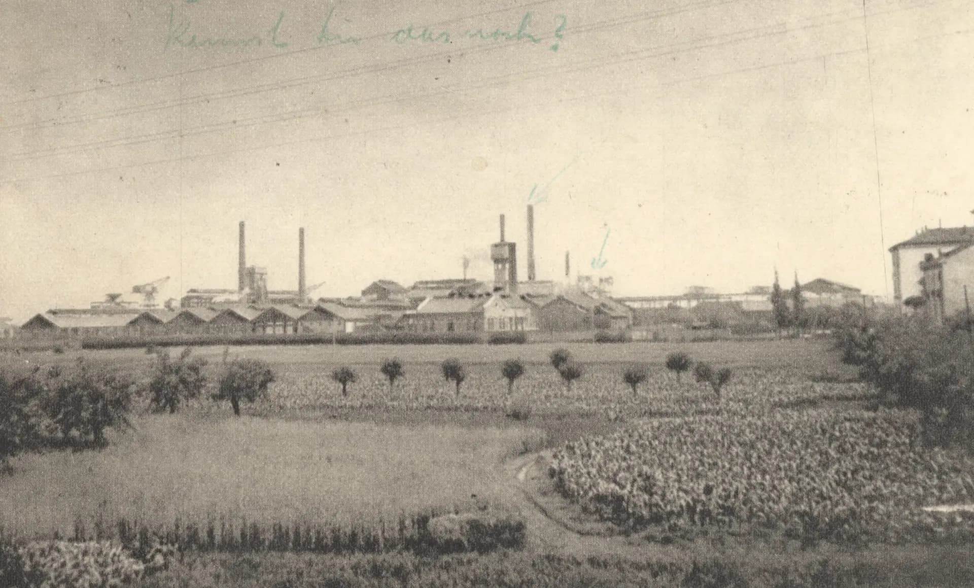 Dipinto di Giovanni Segantini – La raccolta dei bozzoli, 1881-1883