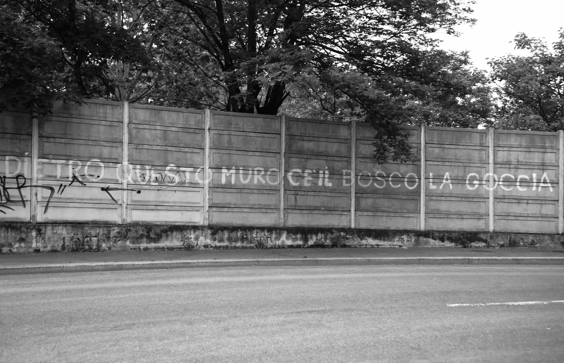 ©Asja Castelli, Scritta lungo via Pacuvio che testimonia la pesenza di un bosco aldilà del muro di recinzione, 2020