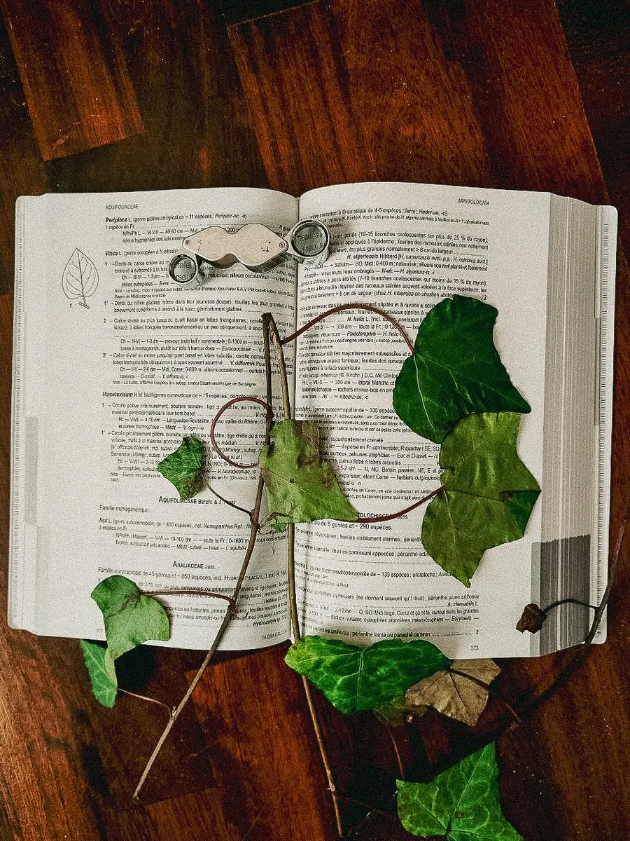 Dalla foresta al Museo: l’attività del botanico da campo