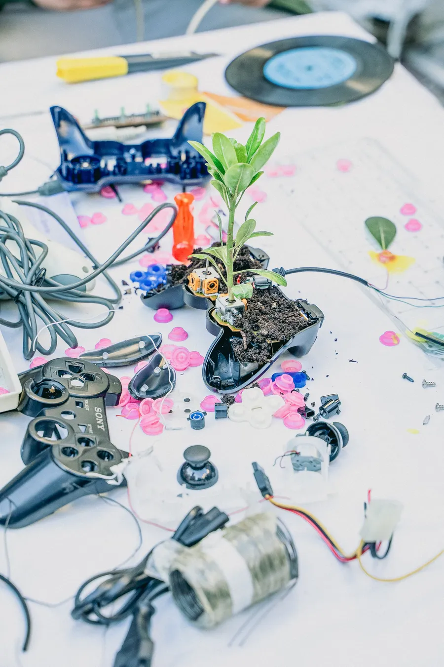 Dallo scarto al recupero: dare nuova vita a oggetti e idee