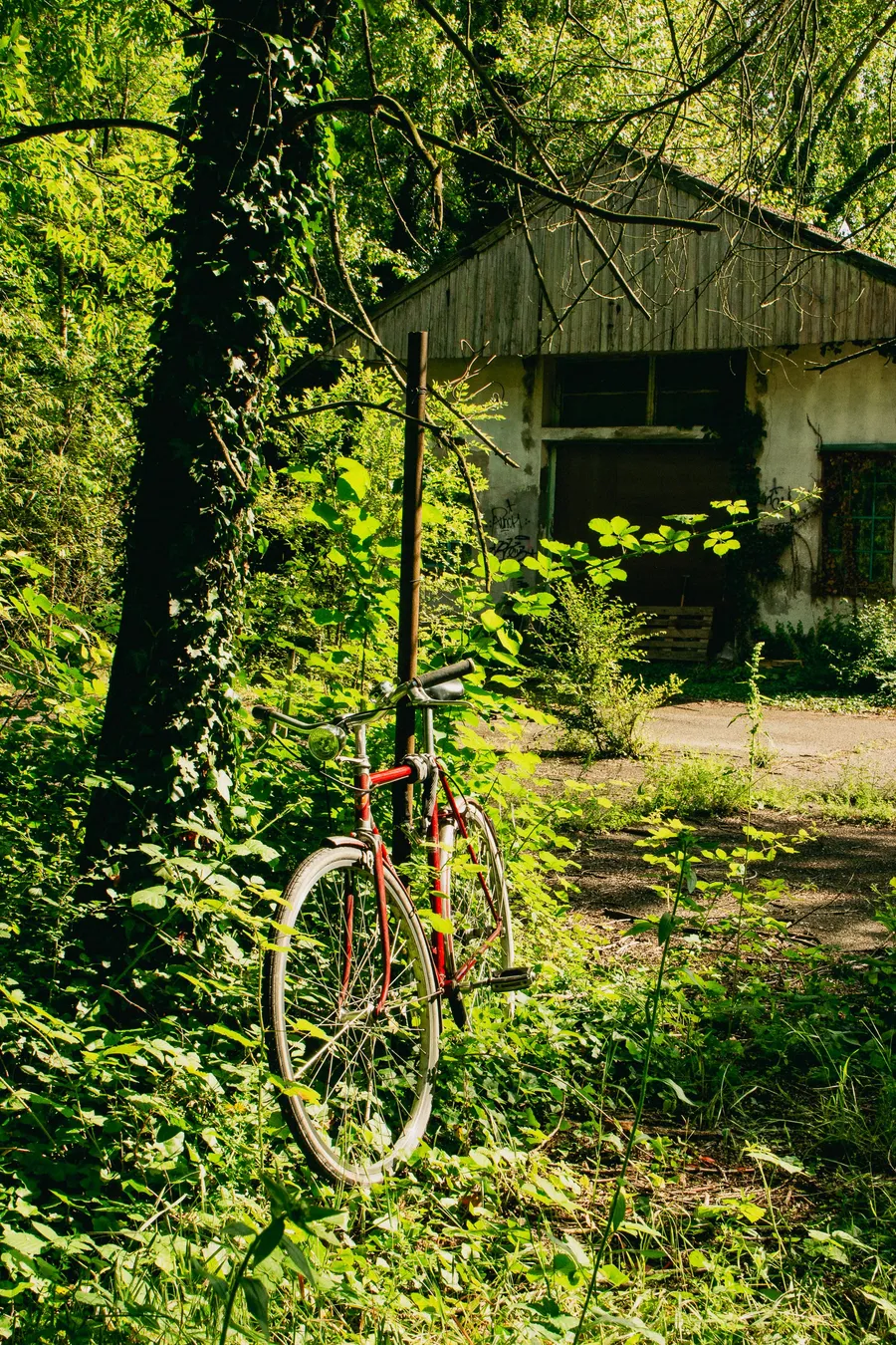 Design for Placemaking: le idee degli studenti per la Goccia