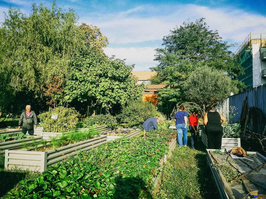 Coltivando. L’orto conviviale del Politecnico di Milano