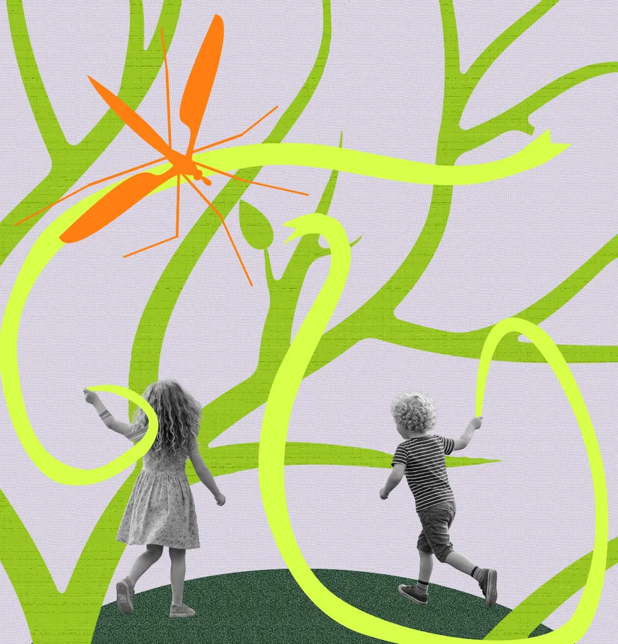 Tempi naturali: esploriamo le diverse temporalità della natura