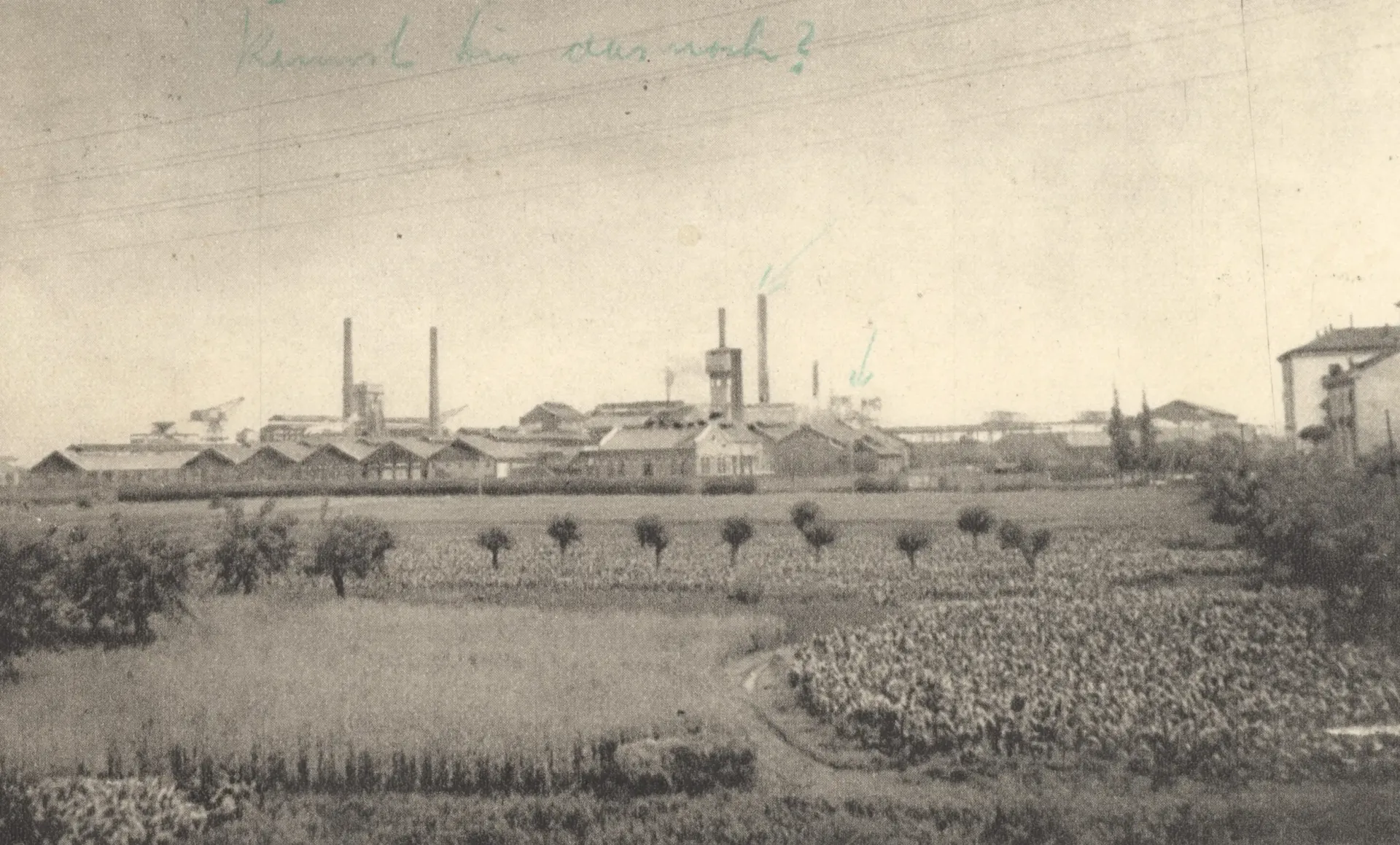 Dipinto di Giovanni Segantini – La raccolta dei bozzoli, 1881-1883