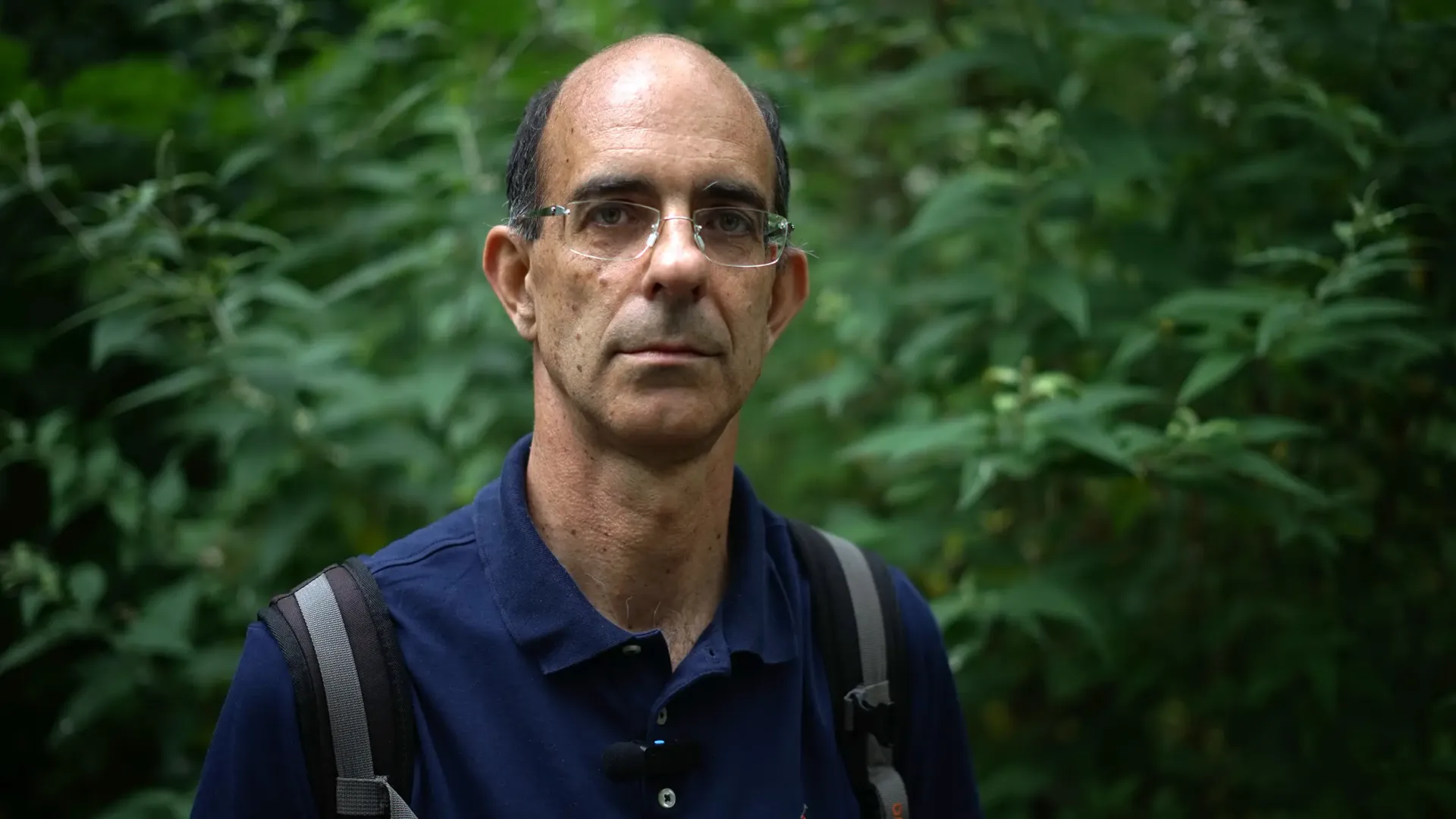 Gabriele Galasso, Botanico del Museo Civico di Storia Naturale di Miano