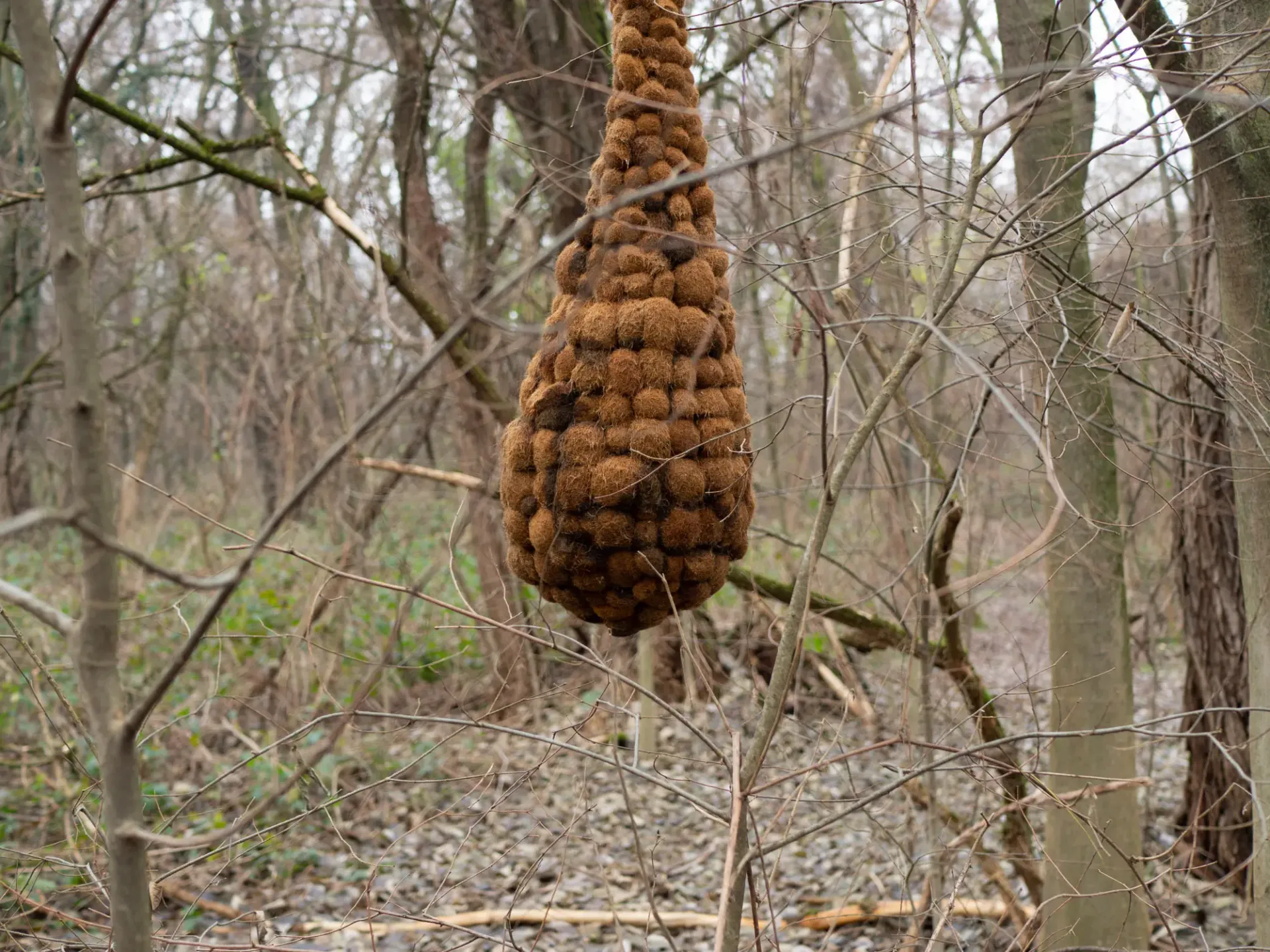 ©Comitato La Goccia